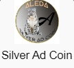 Silver coin