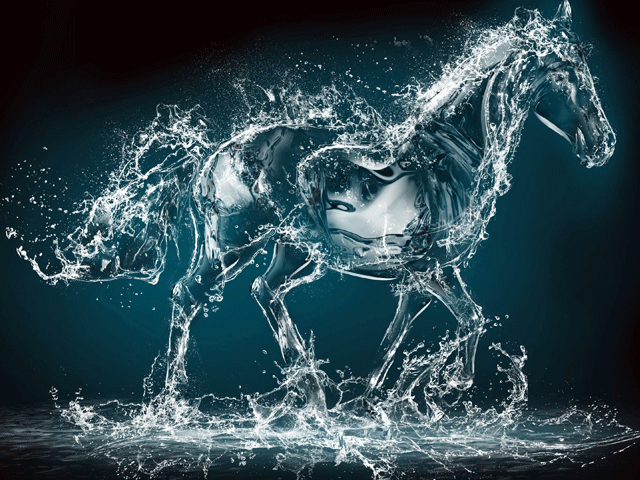 Horse Hologram