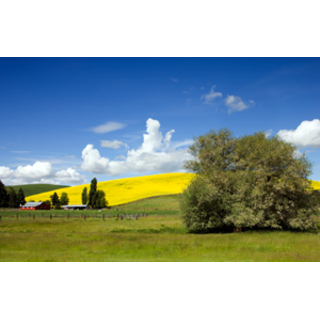 Idaho Farm and Field by Carol Highsmith, high res