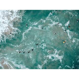 Gold Coast surfers