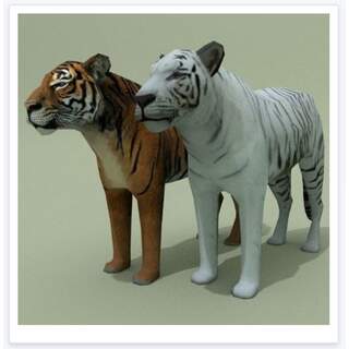 3D Tigers