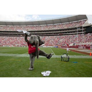 Big Al, the Alabama Crimson Tide football team mascot by Carol Highsmith